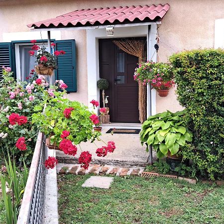 Holiday Home Goga Drniš Exterior foto